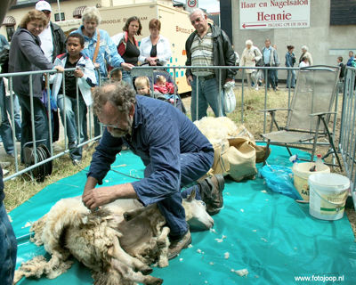 Foto 46 uit Paardenmarkt new07