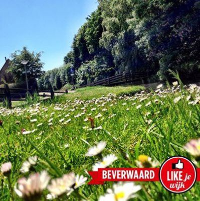 Foto 596 uit LIKEJEWIJK FOTO'S_2