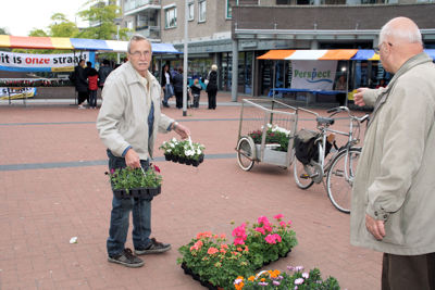 Foto 45 uit OpzoomerenPlantjes