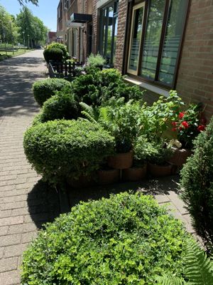 Foto 51 uit Lente En Zomer 2022