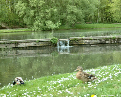 Foto 569 uit StratenBEVERWAARD