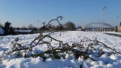 Foto 313 uit BRIENENOORDBRUG