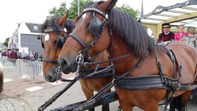 Foto 57 uit Paardenmarkt29-6