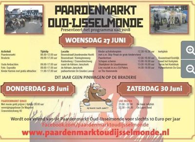 Foto 2 uit Paardenmarkt 2018