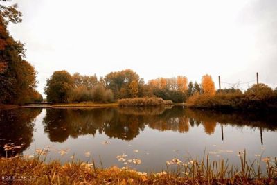 Foto 33 uit Herfst In Beverwaard