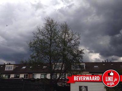 Foto 589 uit LIKEJEWIJK FOTO'S_2