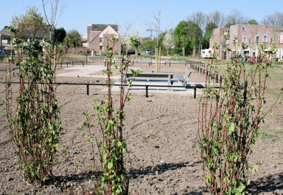 Foto 212 uit TropischeTuin 2017