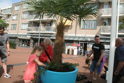 Foto 79 uit HippePlantenBakken