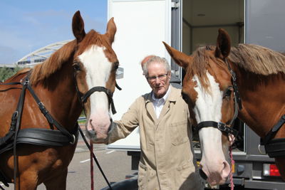 Foto 36 uit Paardenmarkt 2018