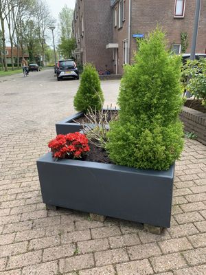 Foto 491 uit Rondje Beverwaard 2026