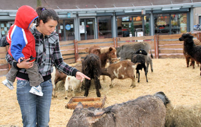 Foto 23 uit Sinterklaas 2009B.W