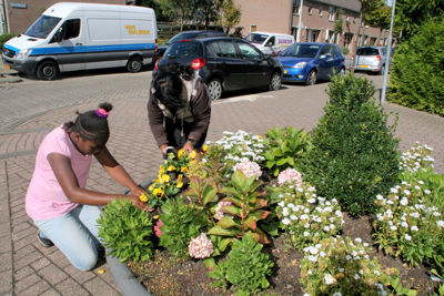 Foto 15 uit Burendag22-09-2012