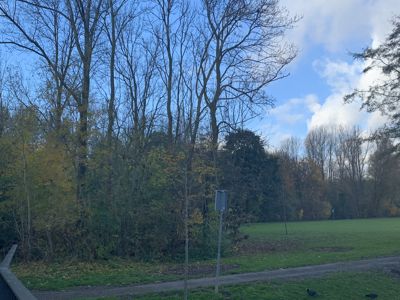 Foto 421 uit Rondje Beverwaard 2026