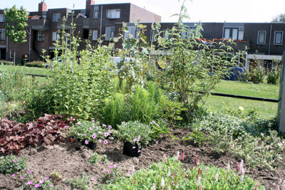 Foto 36 uit Tropische Tuin12_6