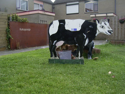 Foto 203 uit country feest 2005