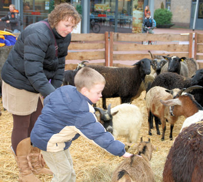 Foto 49 uit Sinterklaas 2009B.W