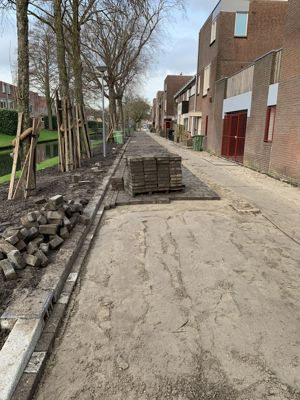 Foto 8 uit Rhijnauwensingel