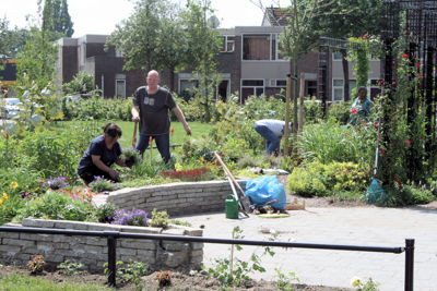 Foto 47 uit Tropische Tuin12_6