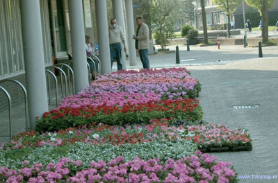 Foto 8 uit Opzoomeren 07 bw