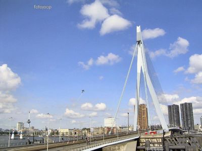 Foto 46 uit red bull air race r.dam