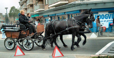 Foto 64 uit Foto's Beverwaard