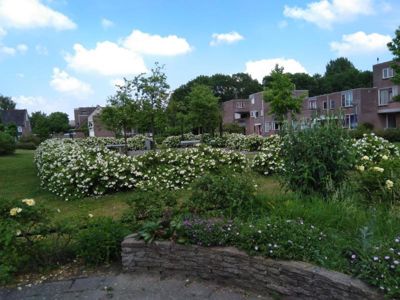 Foto 175 uit TropischeTuin 2017