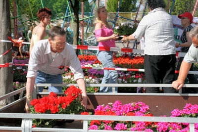 Foto 98 uit Opzoomeren20-05