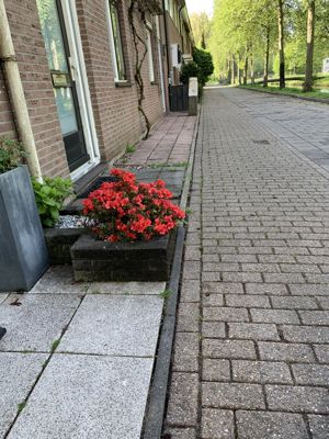 Foto 497 uit Rondje Beverwaard 2026