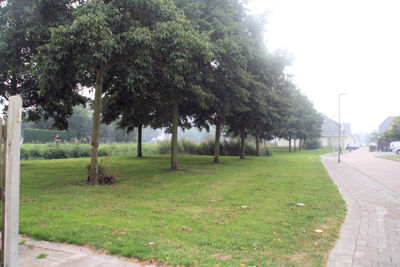 Foto 348 uit StratenBEVERWAARD