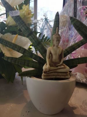 Foto 221 uit NeelyshaBloemen