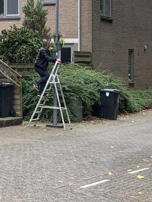 Foto 12 uit OpzoomerenPeeland