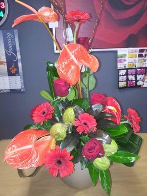 Foto 190 uit NeelyshaBloemen