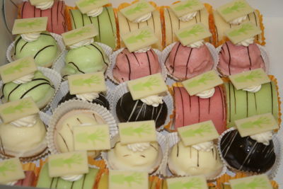 Foto 48 uit Rk regenboog 2_2_09