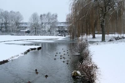 Foto 12 uit Kerst Beverwaard09