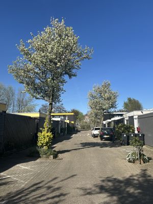 Foto 267 uit Rondje Beverwaard 2026