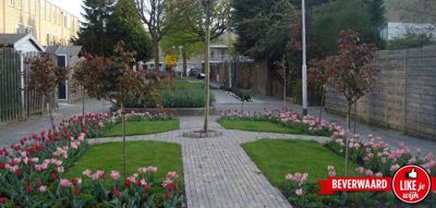 Foto 110 uit LIKEJEWIJK FOTO'S_3