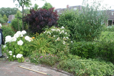 Foto 4 uit TropischeTuin9-7-16