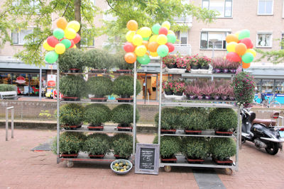 Foto 135 uit De Bloemenboetiek