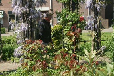 Foto 285 uit TropischeTuin 2017