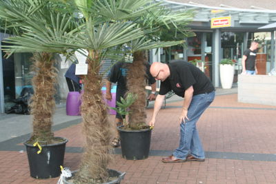 Foto 3 uit HippePlantenBakken