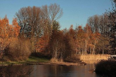 Foto 35 uit Herfst In Beverwaard