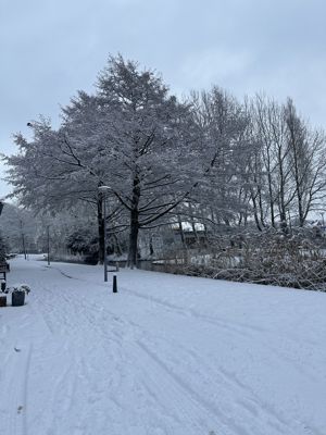 Foto 19 uit X- Sneeuw in de Beverwaard 2026