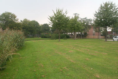 Foto 351 uit StratenBEVERWAARD