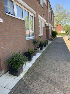 Foto 282 uit StratenBEVERWAARD