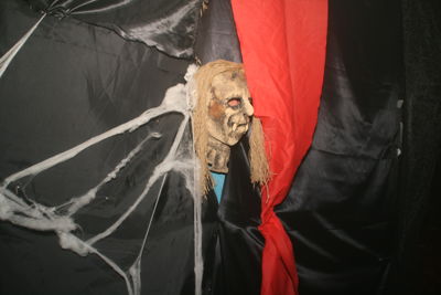 Foto 341 uit Halloween1-11-2014