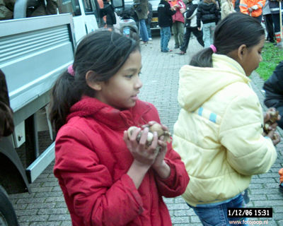 Foto 122 uit bloembollen planten