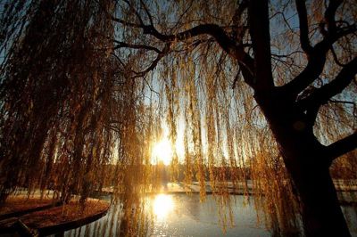 Foto 53 uit Herfst In Beverwaard