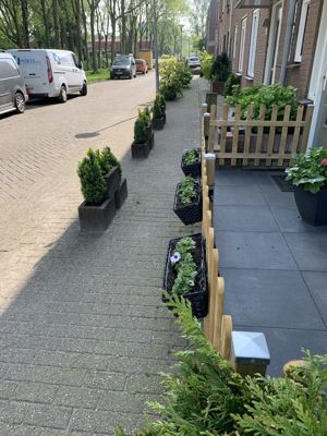 Foto 236 uit Rondje Beverwaard 2026