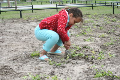 Foto 19 uit Tropische Buurttuin