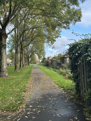 Foto 52 uit X-Herfst Verschillende jaren  2026